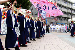 相模原よさこい③・3-1