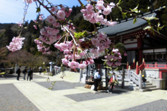 大山阿夫利神社へ③・3-1