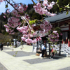 大山阿夫利神社へ③・3-1