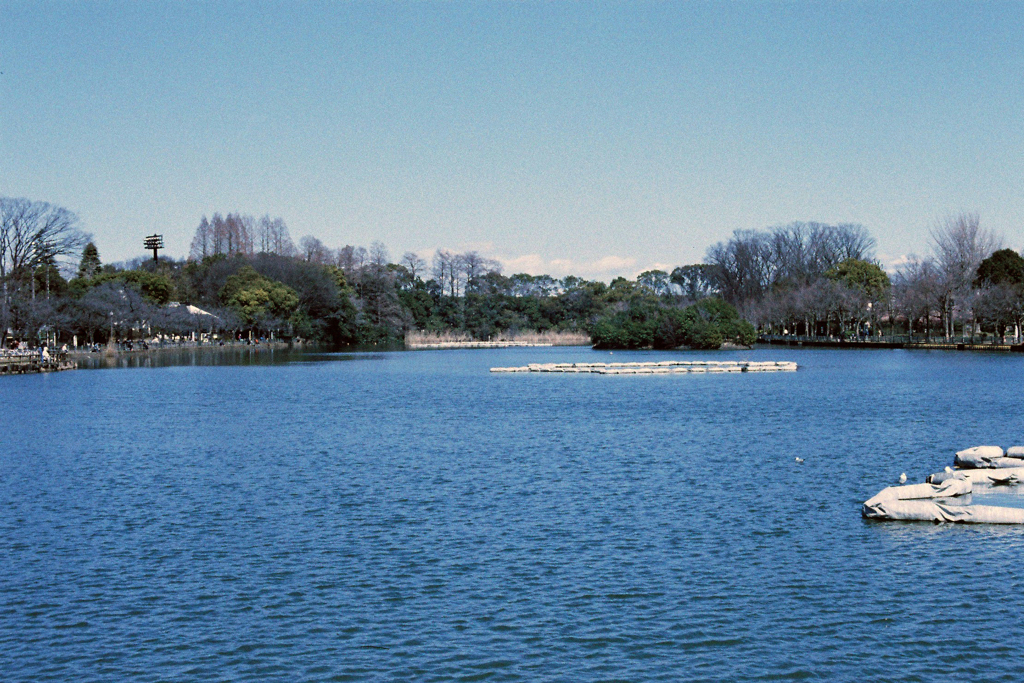浮間公園①・3-1