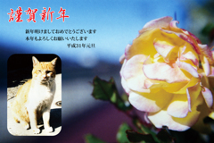 謹賀新年