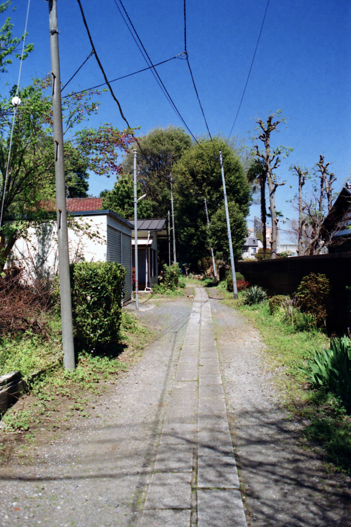 FD35mm/F2とWalgreens200の試写 4-4