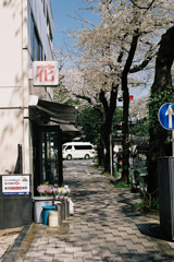 花屋さん