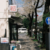 花屋さん