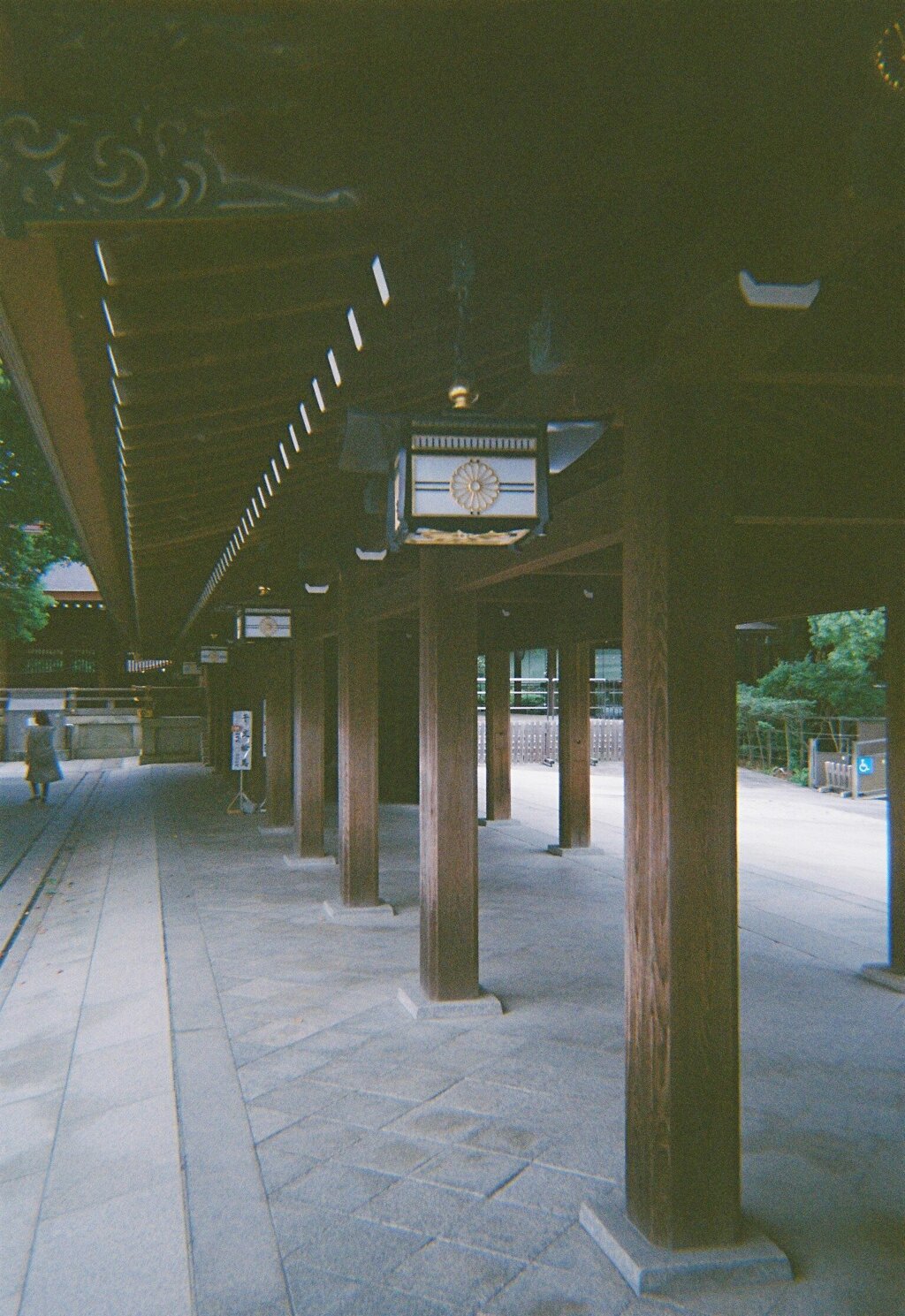 明治神宮・照明(film・Kodak M35)