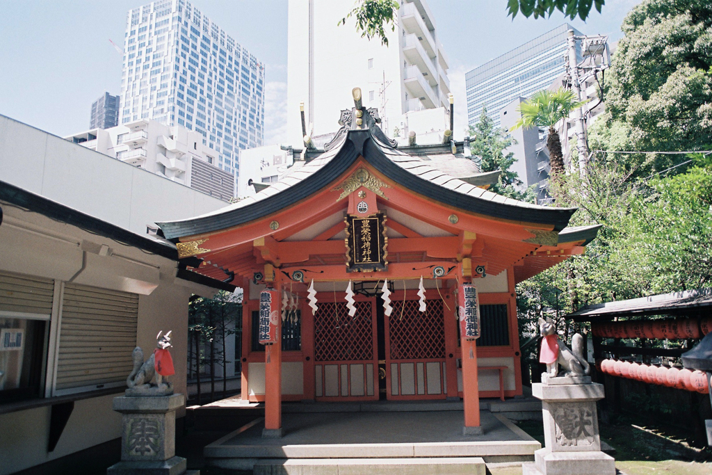 秋祭り＃2「渋谷氷川神社へ」②・3-1