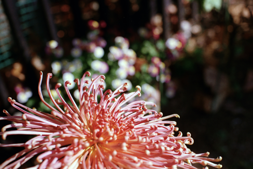 24exp.film・24-11