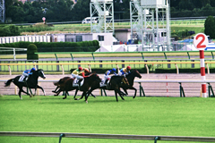 10月20日東京競馬第5レース解説付3-3