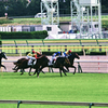 10月20日東京競馬第5レース解説付3-3