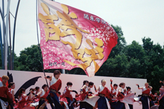 光が丘公園よさこい③・2-2