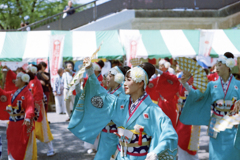 原宿表参道元氣祭スーパーよさこい2019⑤・ほにや様4-2