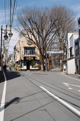 雑司ヶ谷鬼子母神堂・参道②・3-2