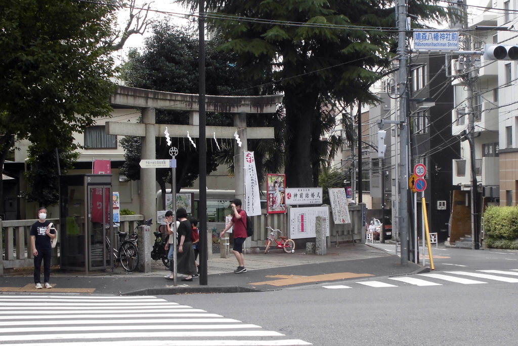 旧鎌倉街道を行く⑦・3-2