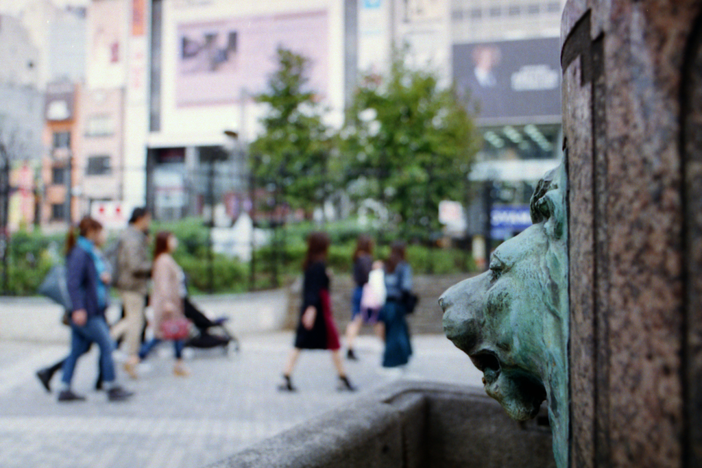馬水槽