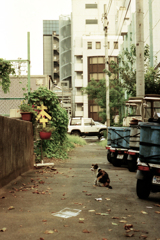 過去写真１６・本