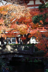 浅草寺で見付けた秋①