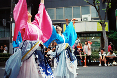 草加よさこいサンバフェスティバル
