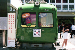 青ガエル(過去写真)