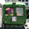 青ガエル(過去写真)