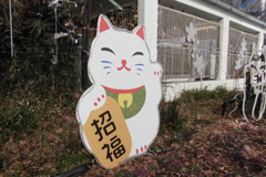 緊急ポスト・JRA愛知杯予想