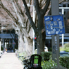 昨日の新宿副都心