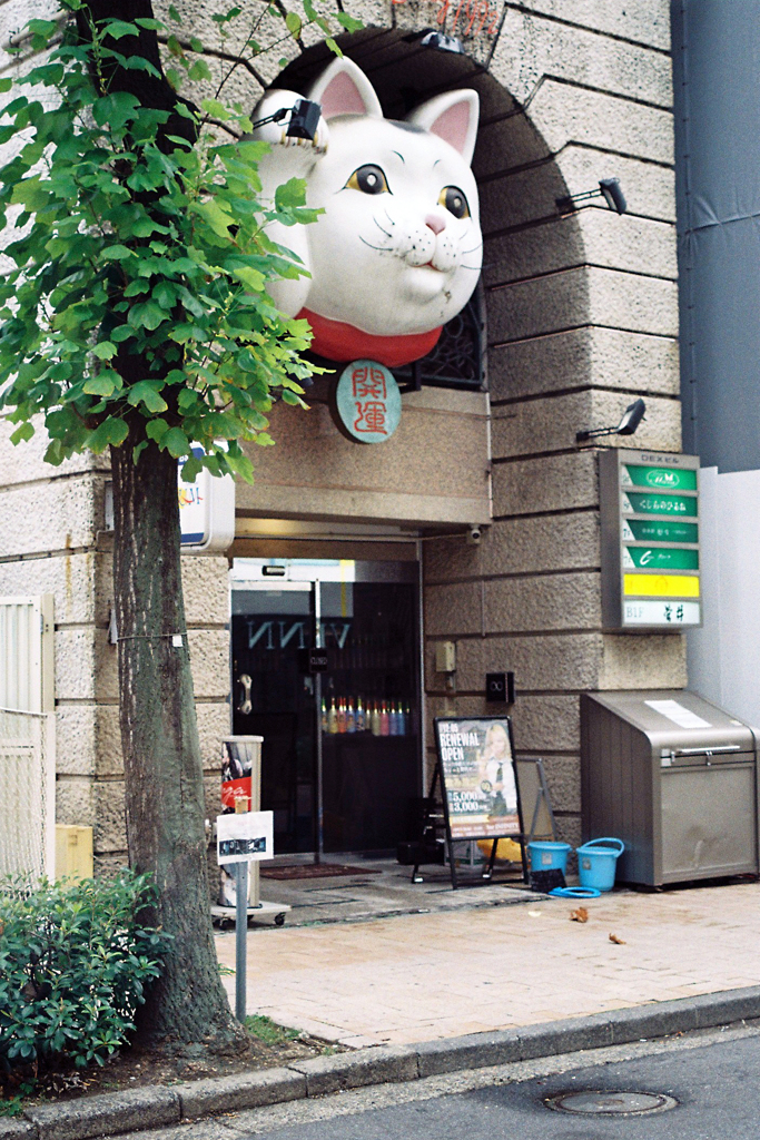 横浜よさこい休憩・2-1