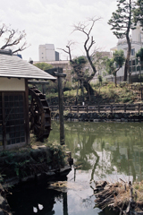 神泉から松濤へ⑤・2-1