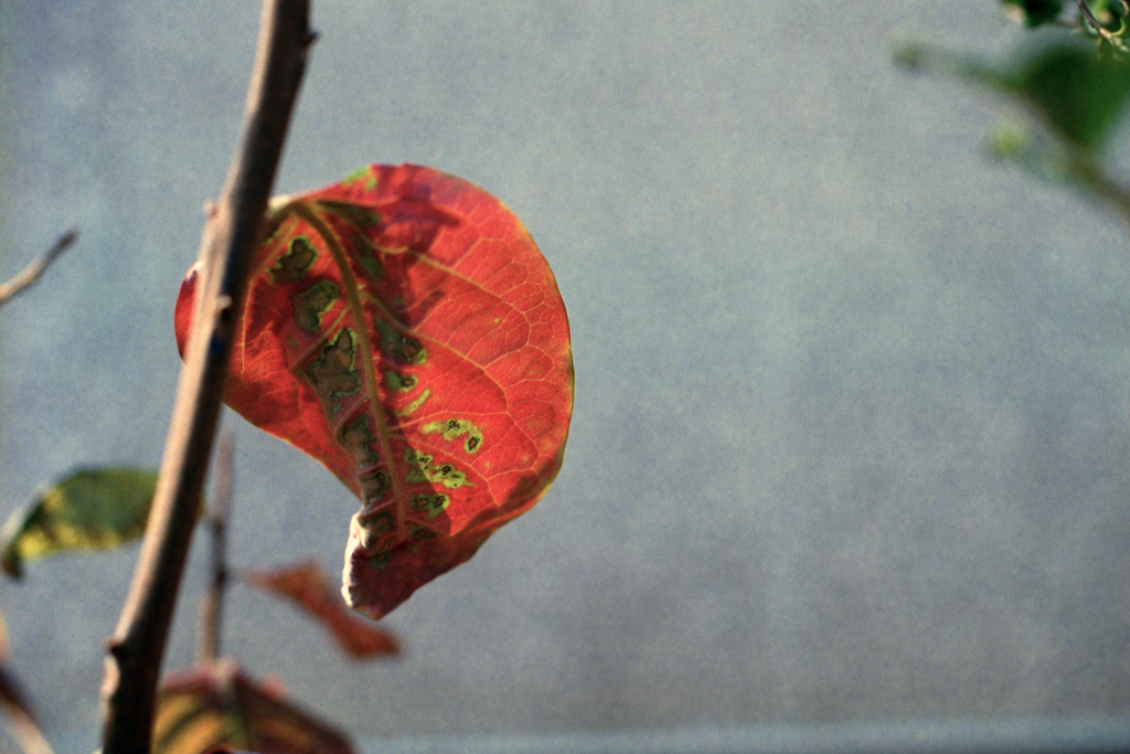 24exp.film・24-22