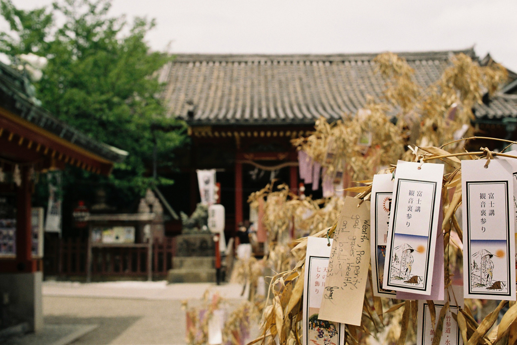 浅草寺ほおずき市①・3-3