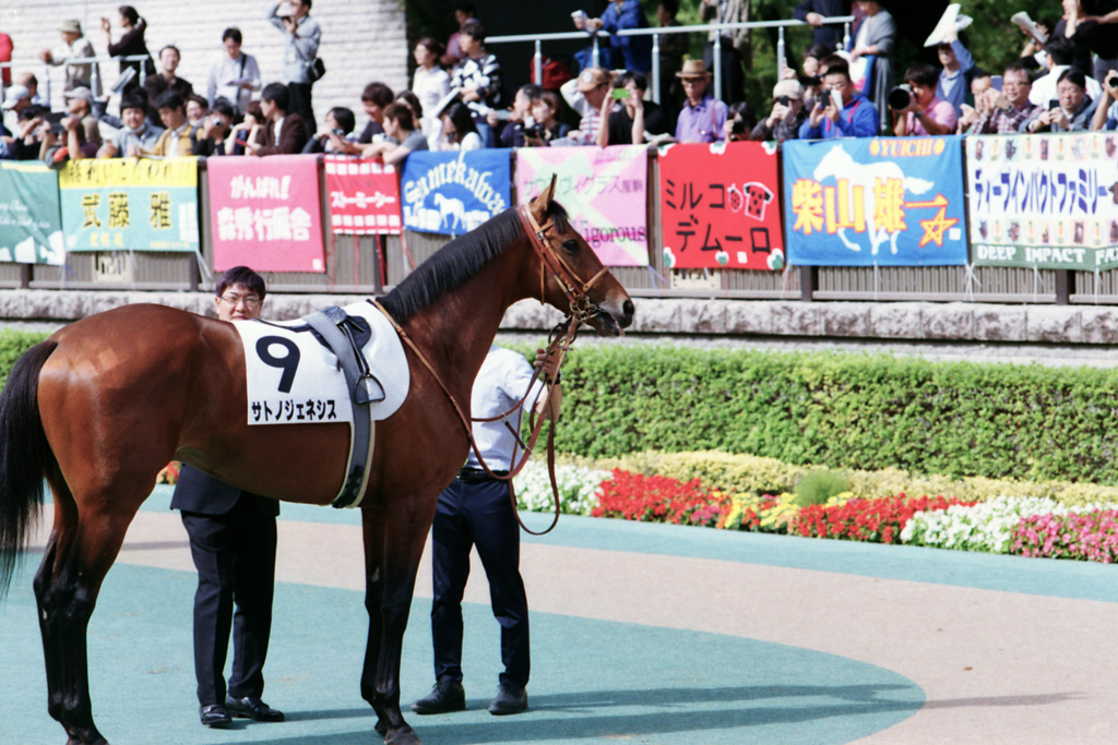 10月20日東京競馬第5レース解説付3-1