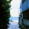 路地から海