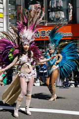 第39回浅草サンバカーニバル