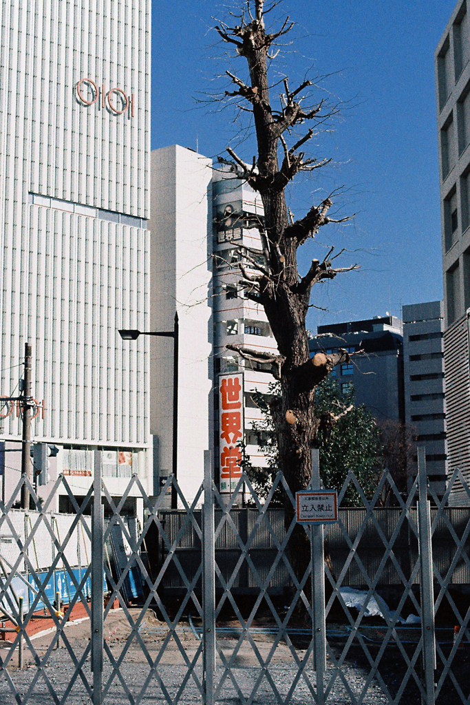 消えた稲荷神社
