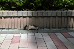 暑いです！