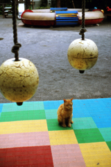 過去写真２０・アンニュイな構図