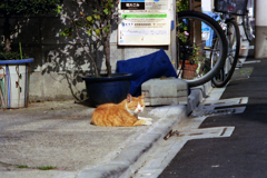 排水溝、やっぱり気になる？