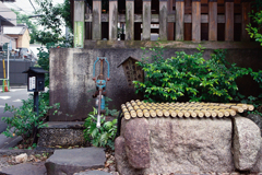 井戸