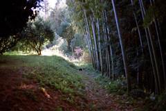 遭遇