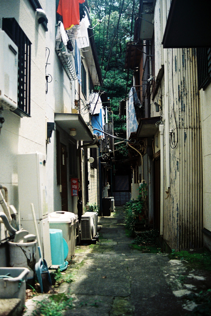 路地