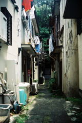 路地