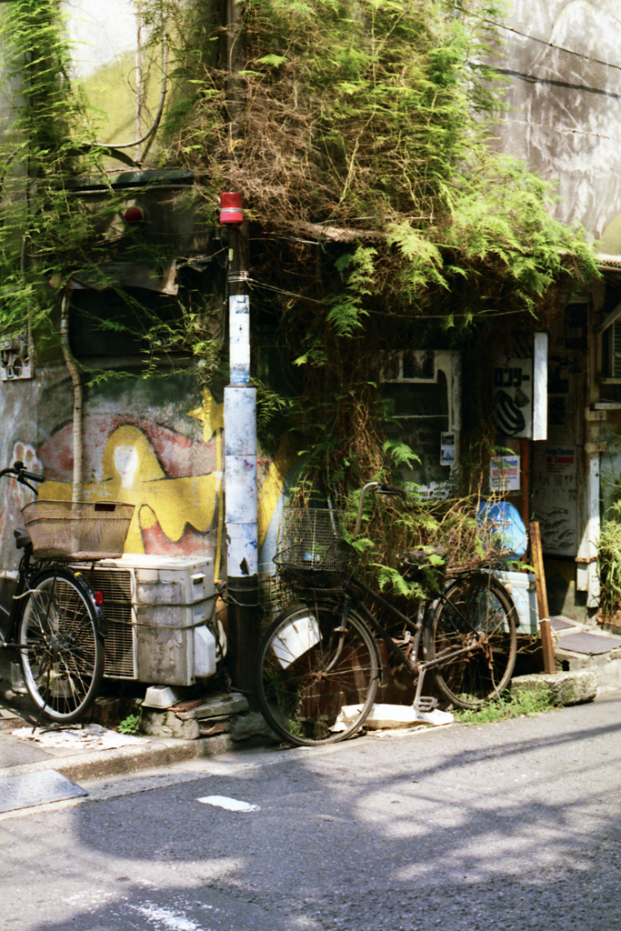 置きっぱ自転車 Entry No.10・最凶発見2-2