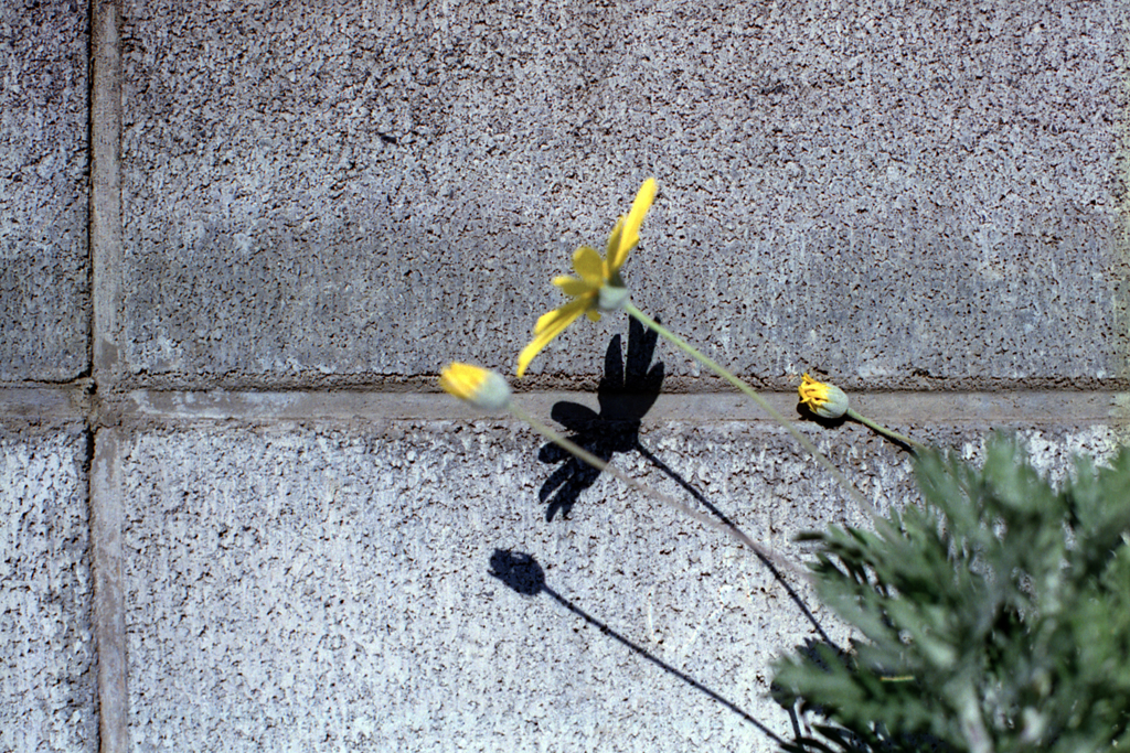 24exp.film・24-21