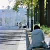 迎賓館前(過去写真)