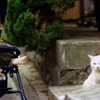 お二人はご親戚の方ですか？