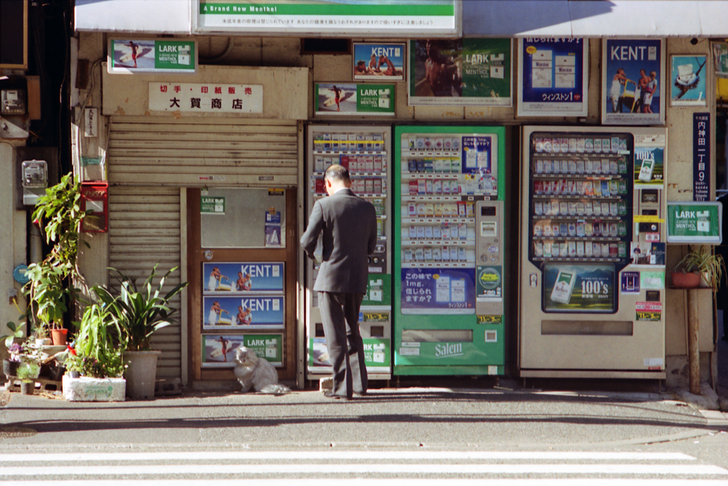 猫63・2-2(過去写真)