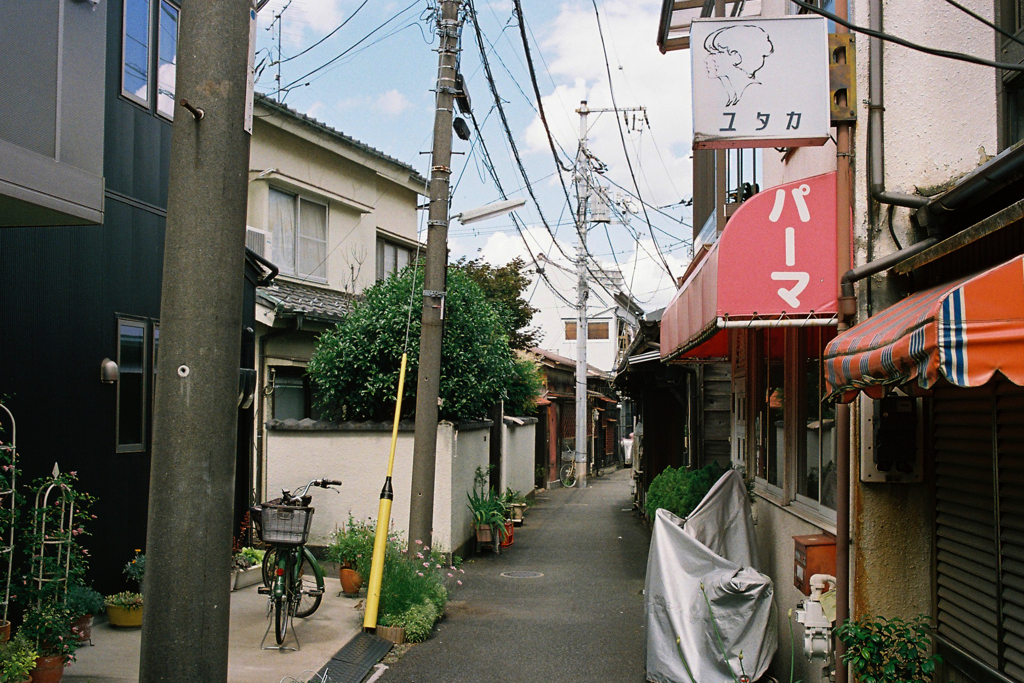 谷中の路地