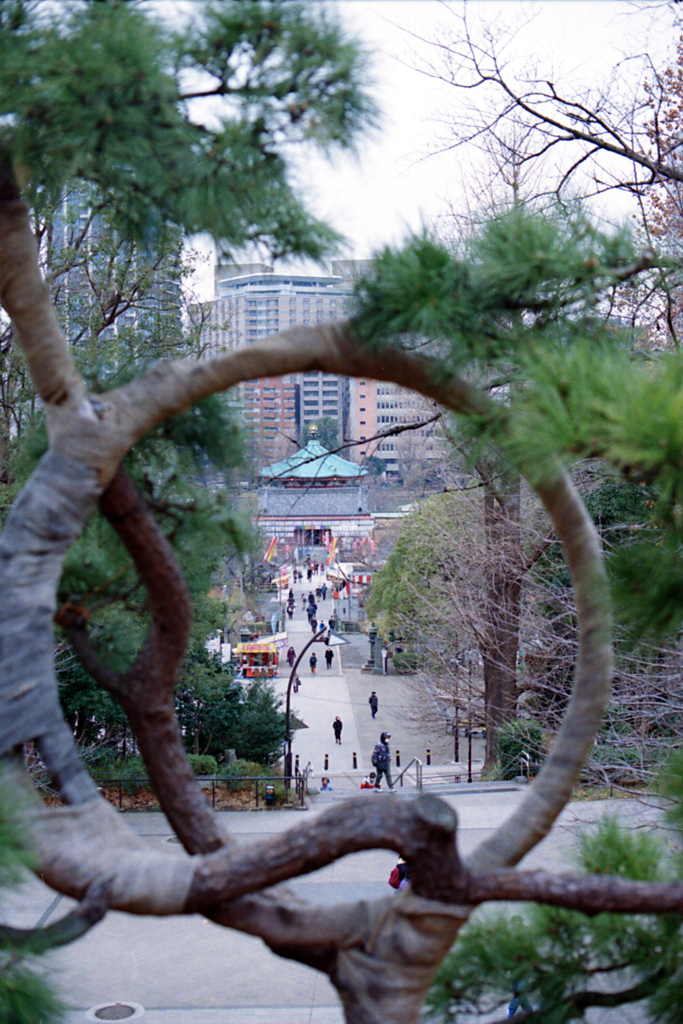 あゝ上野公園①