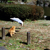 出来事・4-4(過去写真)