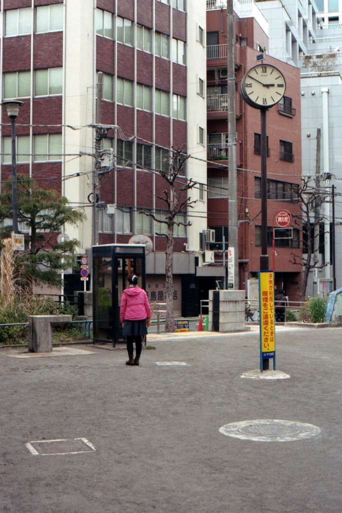 錦華公園(過去写真)