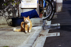 起きている時はこうです